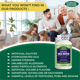 Organic Sea Moss 2000 mg