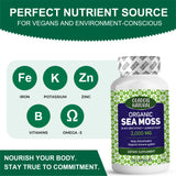 Organic Sea Moss 2000 mg