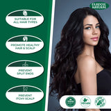 Organic Shikakai Powder Hair Care 100 g