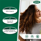 Organic Natural Sidr Powder for Hair & Skin 300 g