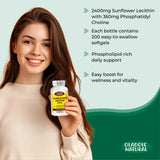 Sunflower Lecithin 2400 mg