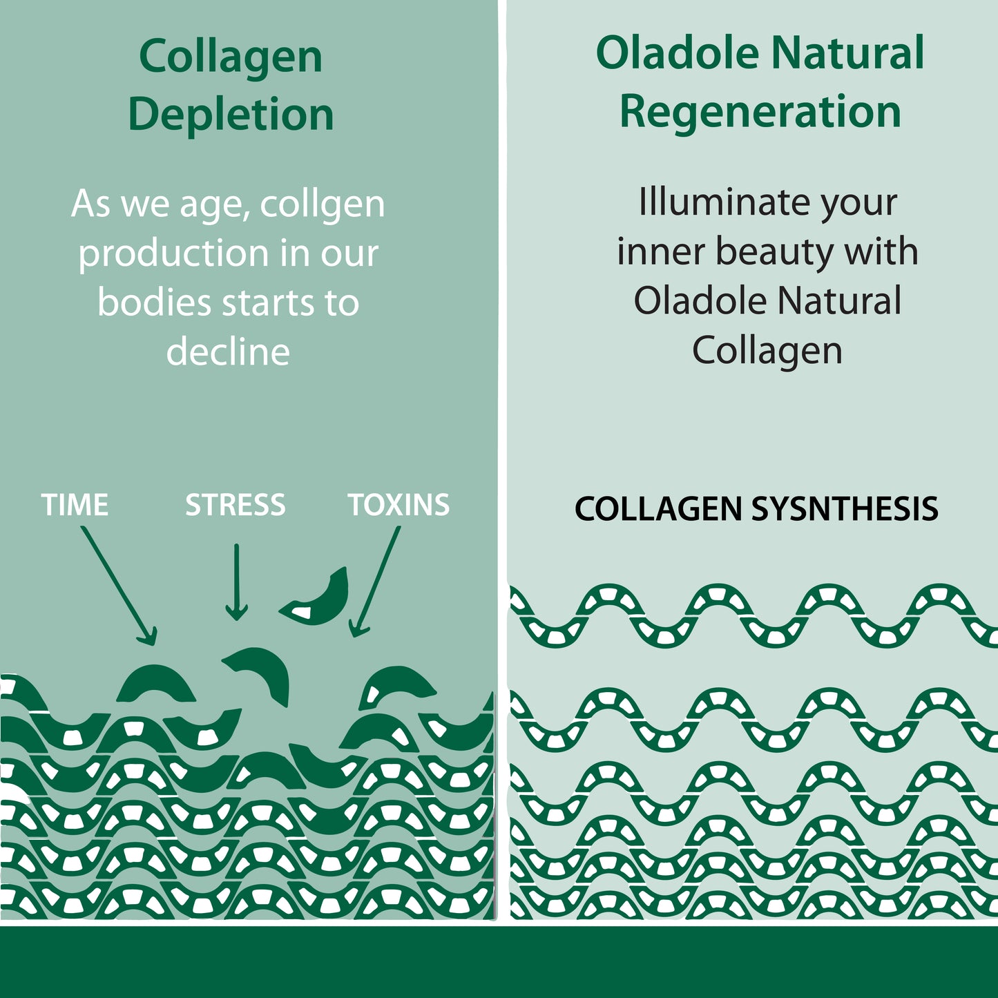 Super Collagen + Biotin - 270 Tablets