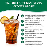 Tribulus Terrestris Gokshura Powder 100 g
