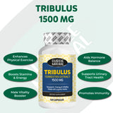Tribulus Terrestris Extract Capsules 