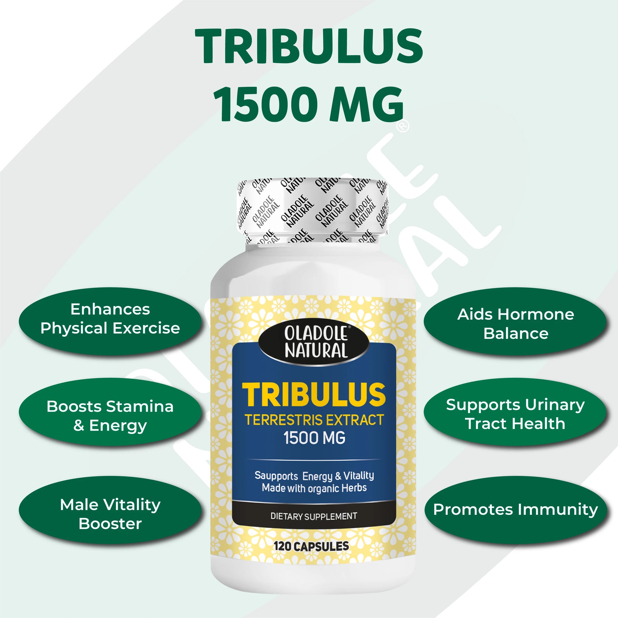 Tribulus Terrestris Extract Capsules 