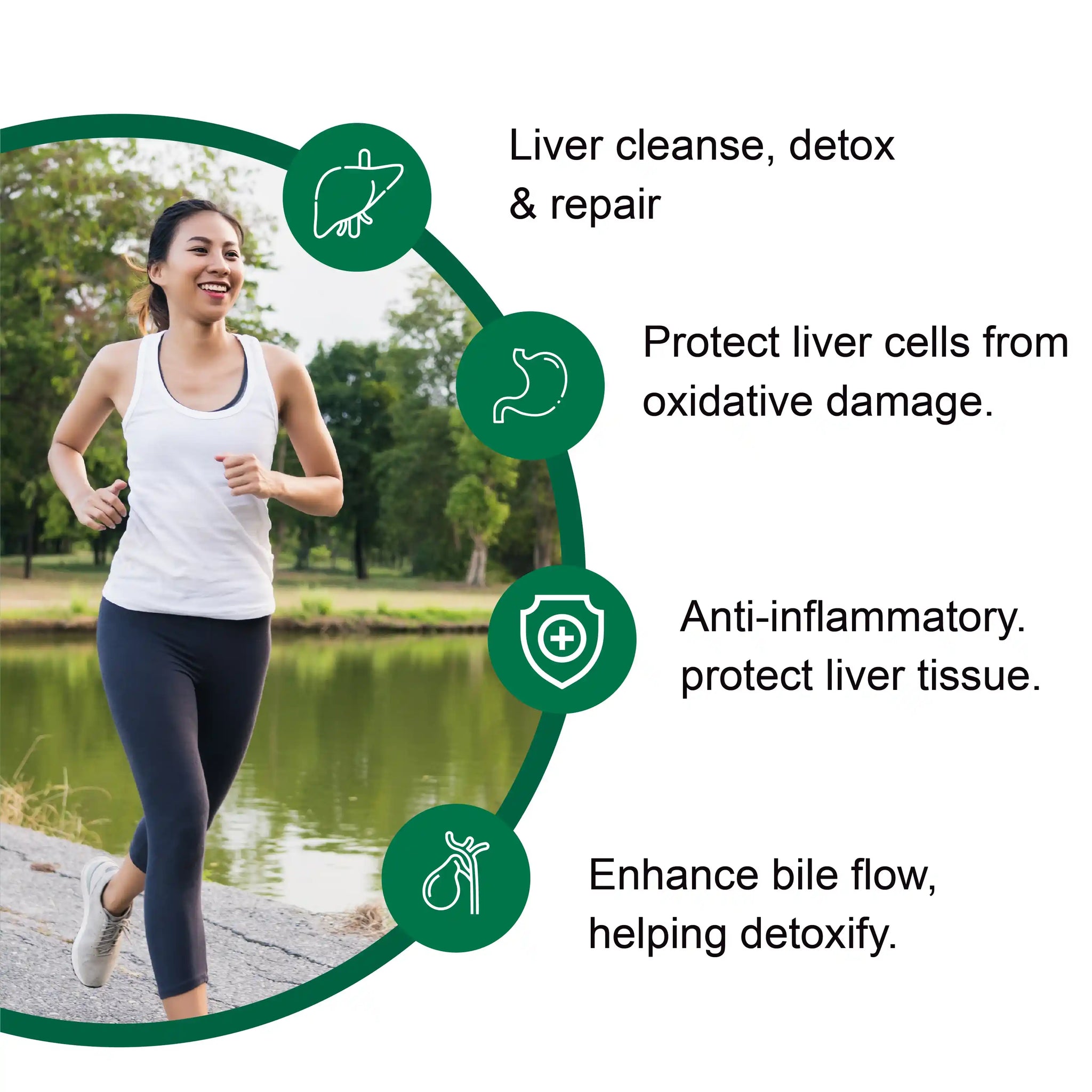 TUDCA Tauroursodeoxycholic Acid 500 mg