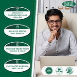 Tulsi Extract 20000 mg 