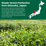Vanilla Matcha Green Tea Powder 50 g