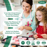 Pure Xylitol Sweetener 500 g